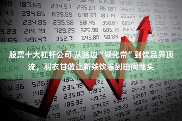 股票十大杠杆公司 从路边“绿化带”到饮品界顶流，羽衣甘蓝让新茶饮卷到田间地头