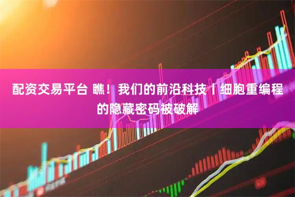配资交易平台 瞧！我们的前沿科技丨细胞重编程的隐藏密码被破解